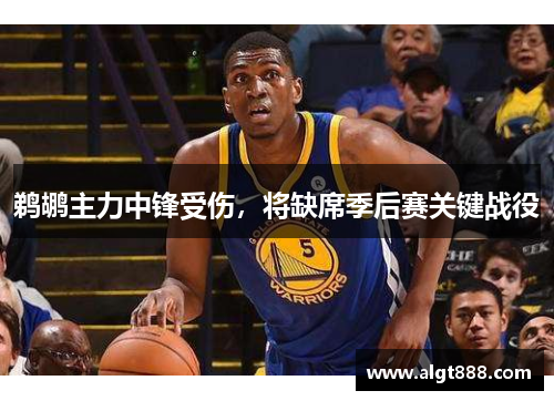 鹈鹕主力中锋受伤，将缺席季后赛关键战役