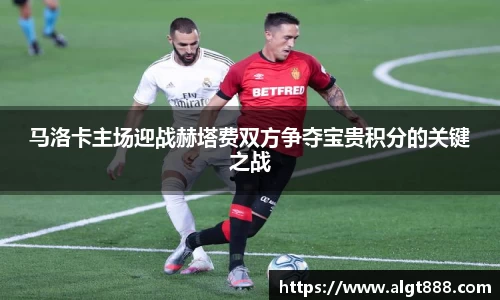 8868体育